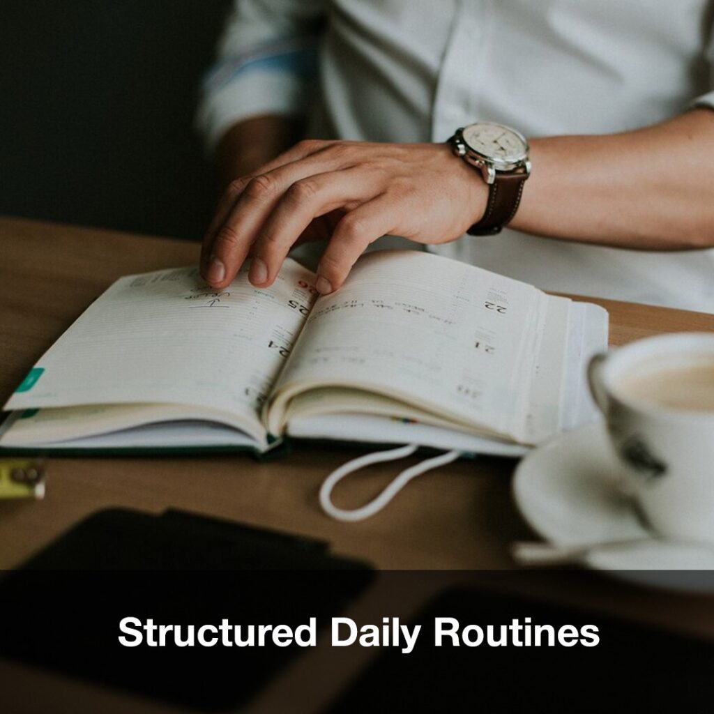 Structured Daily Routines